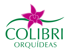 Colibri Orquídeas